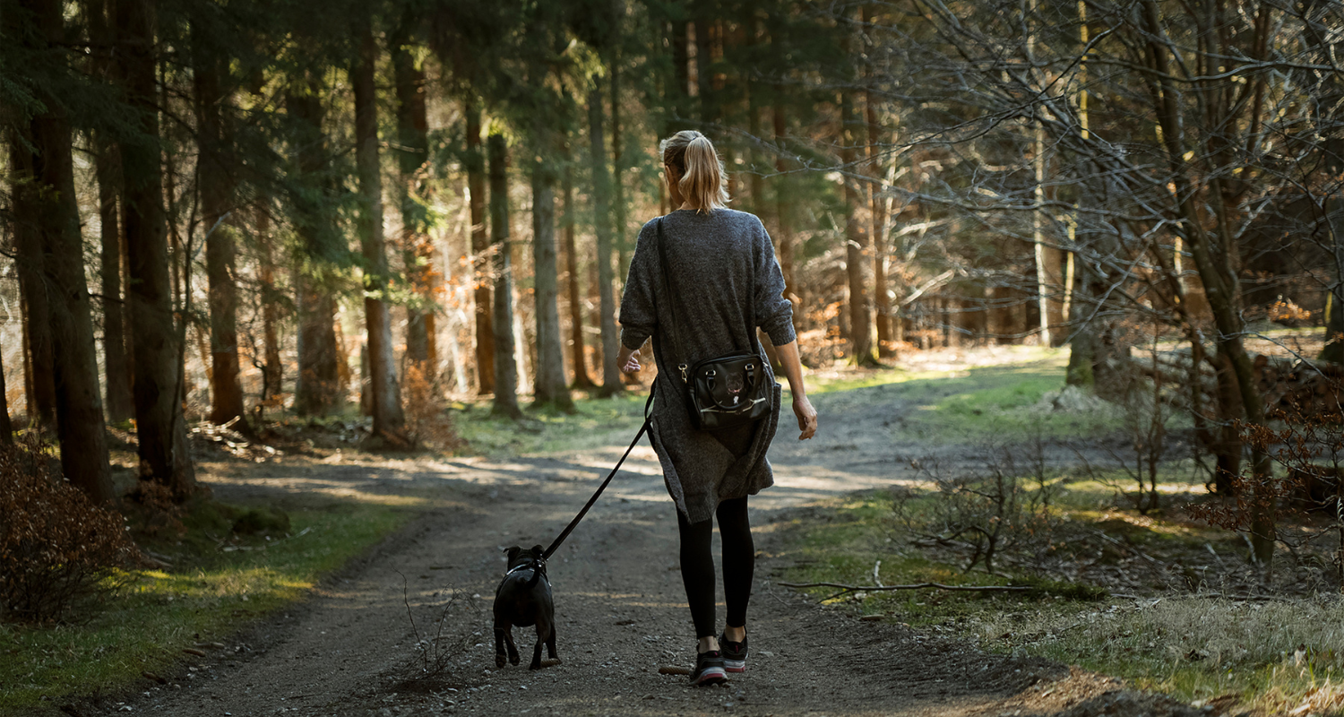 Top 5 Dog-Friendly Hiking Trails in New Zealand