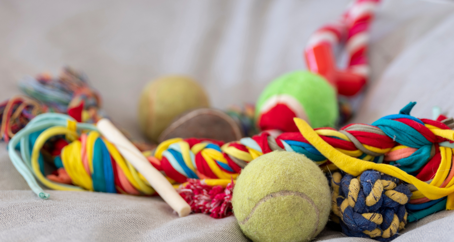 DIY Dog Toy Ideas: Fun and Affordable Projects for Your Pup