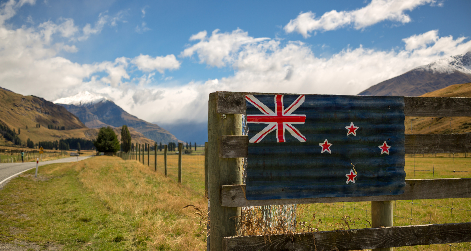 Why Memory Foam Dog Beds Are Ideal for New Zealand's Four-Season Climate