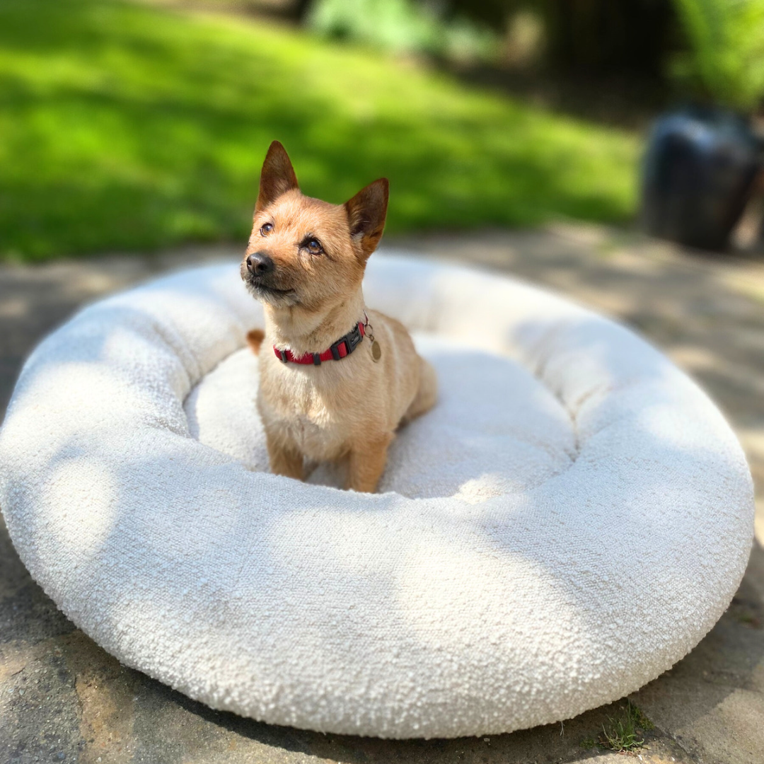 Bouclé Doughnut Bed