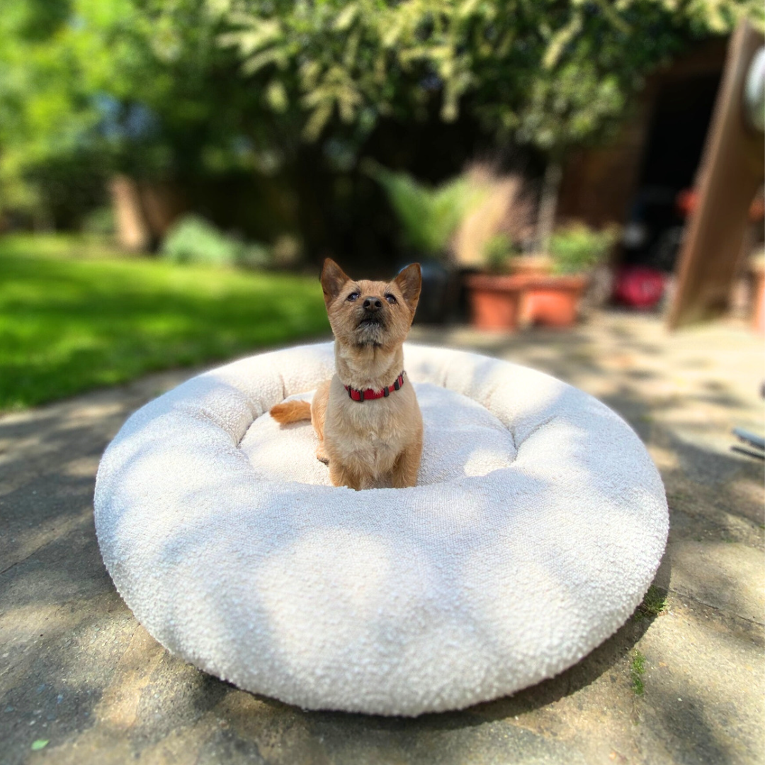 Bouclé Doughnut Bed