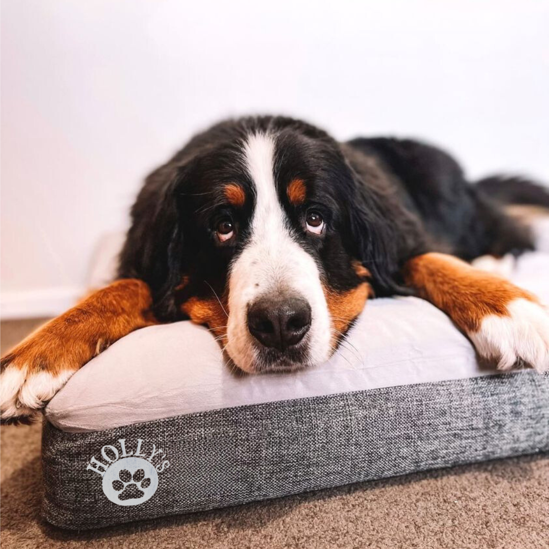 Happy tails orthopedic dog bed best sale