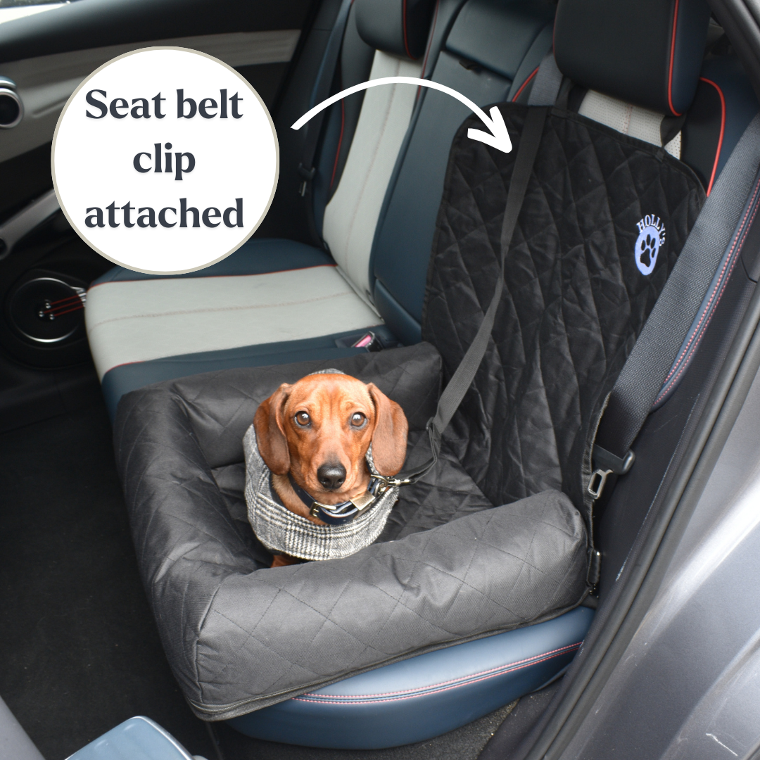 Car Seat Cover