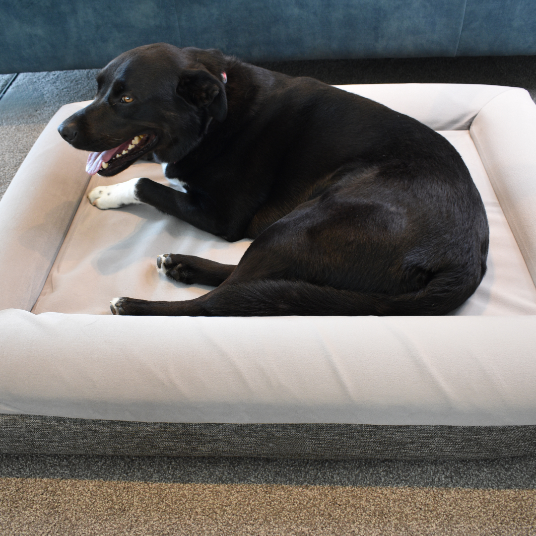 Orthopaedic Memory Foam Bed