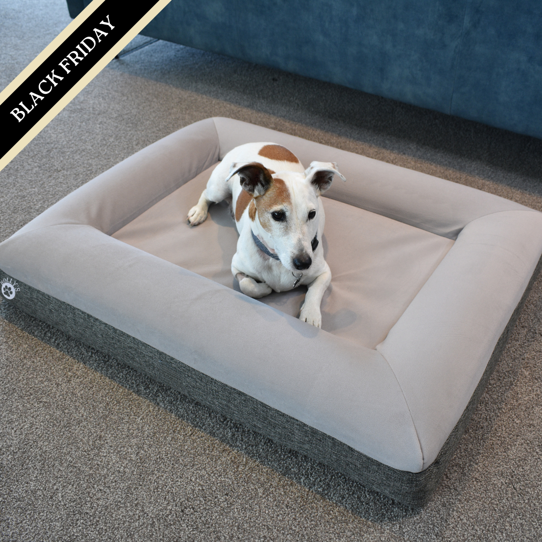 Orthopaedic Memory Foam Bed