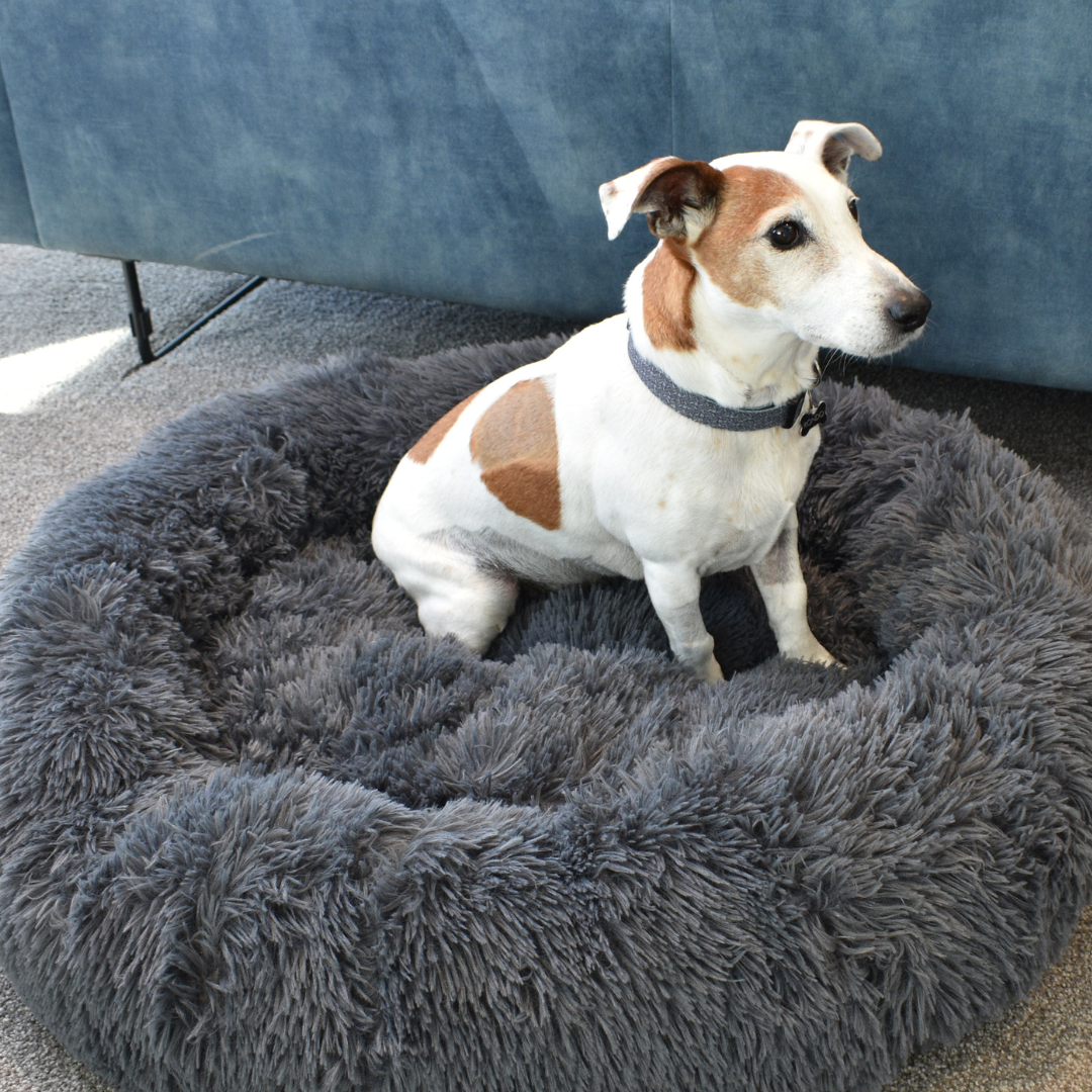 Calming Doughnut Bed