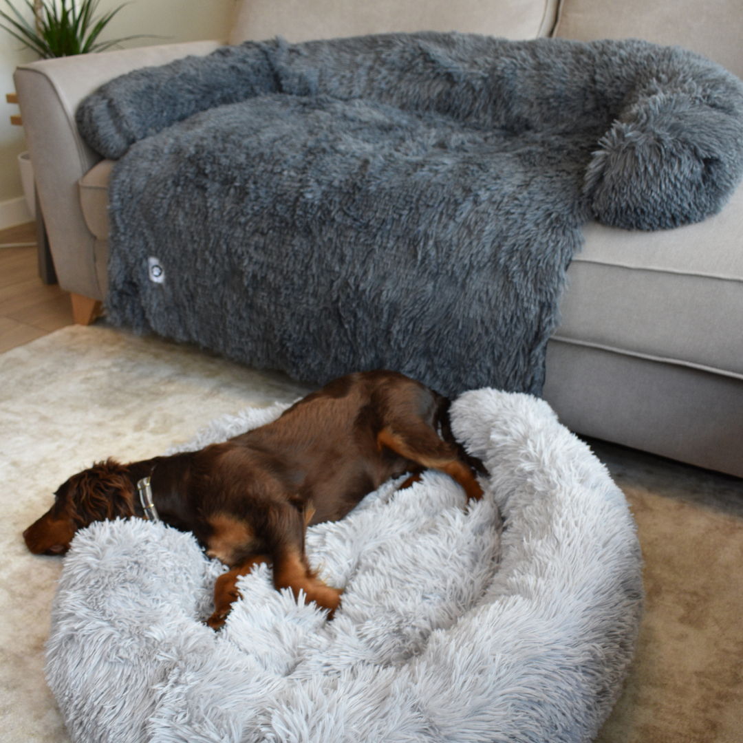 Calming Doughnut Bed