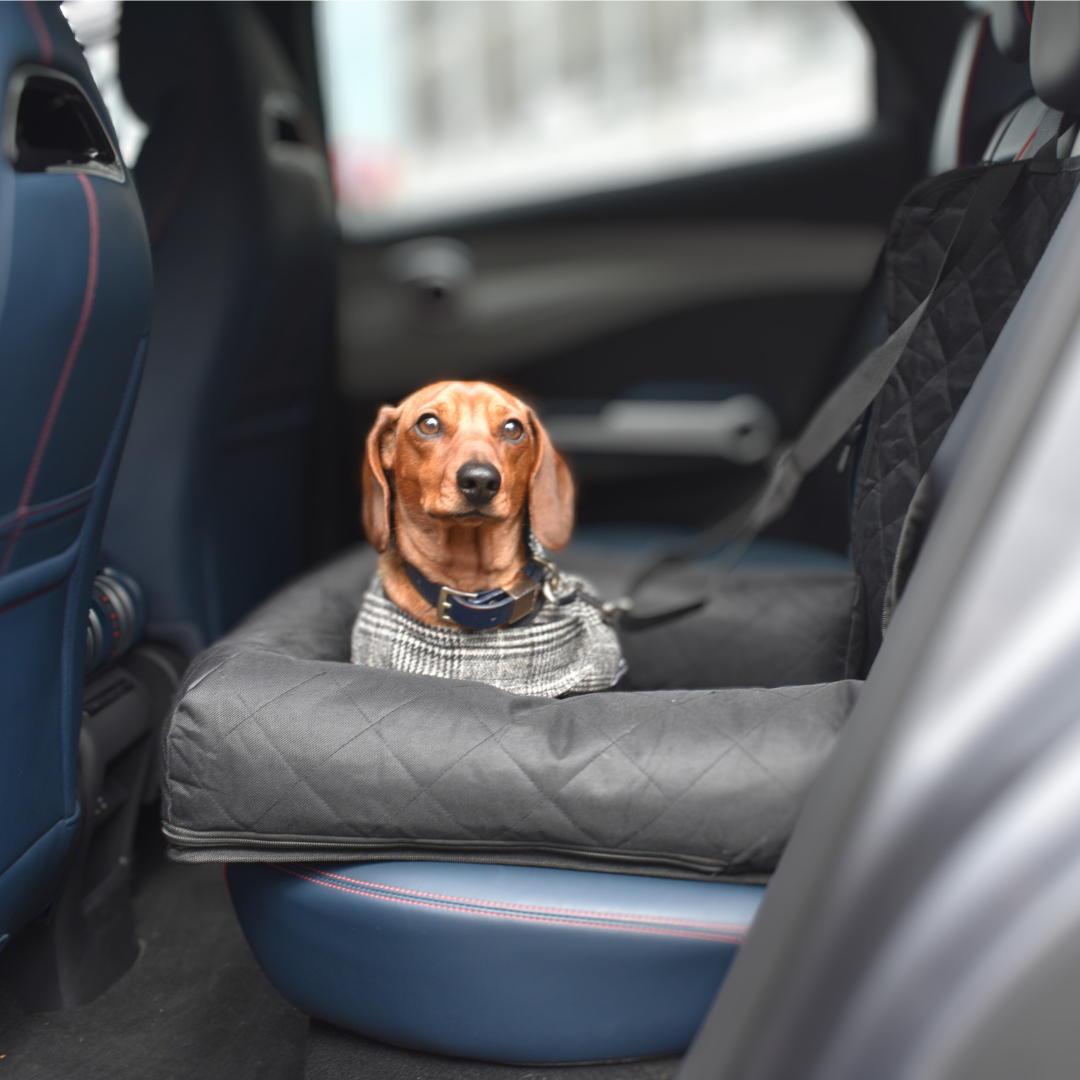 Car Seat Cover