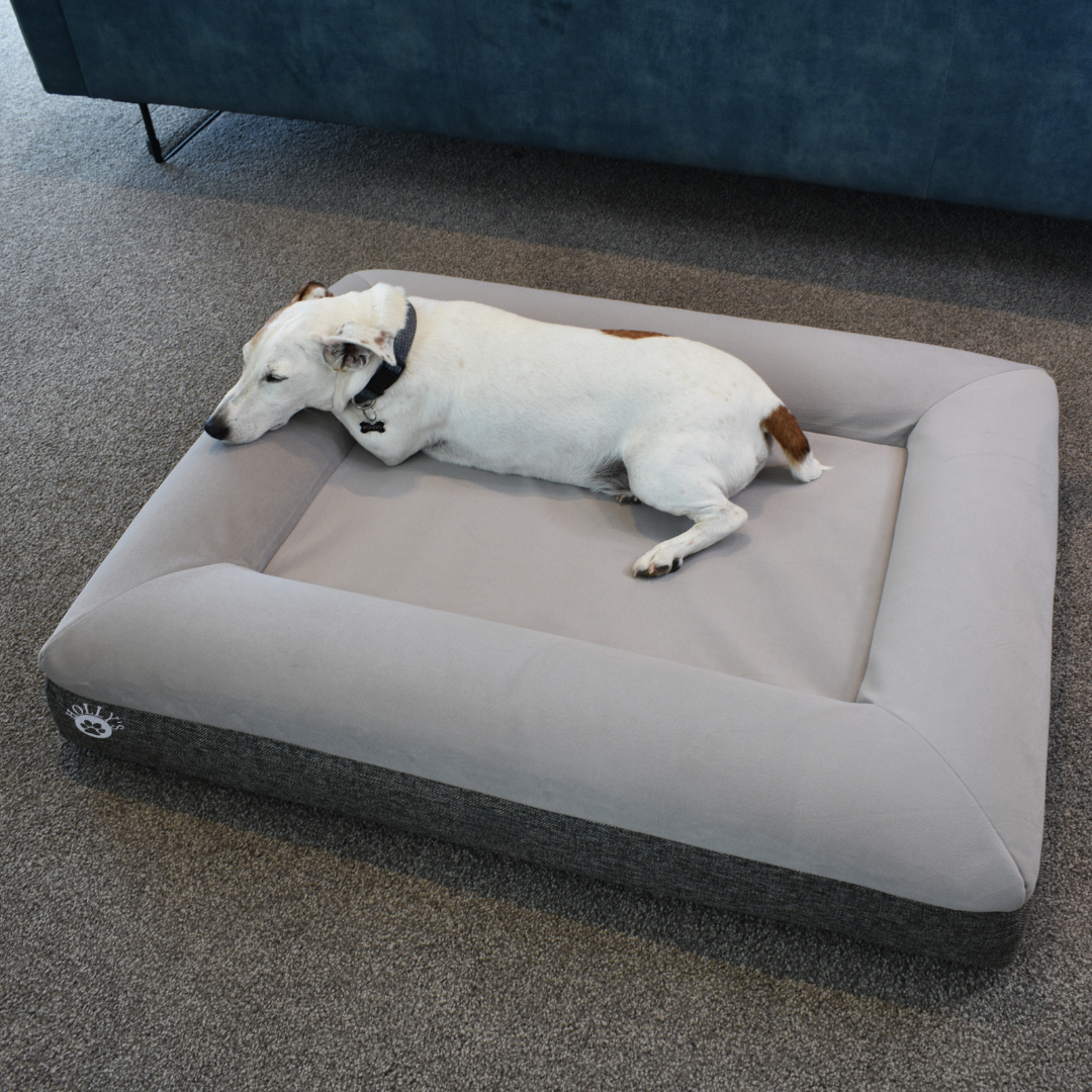 Orthopaedic Memory Foam Bed