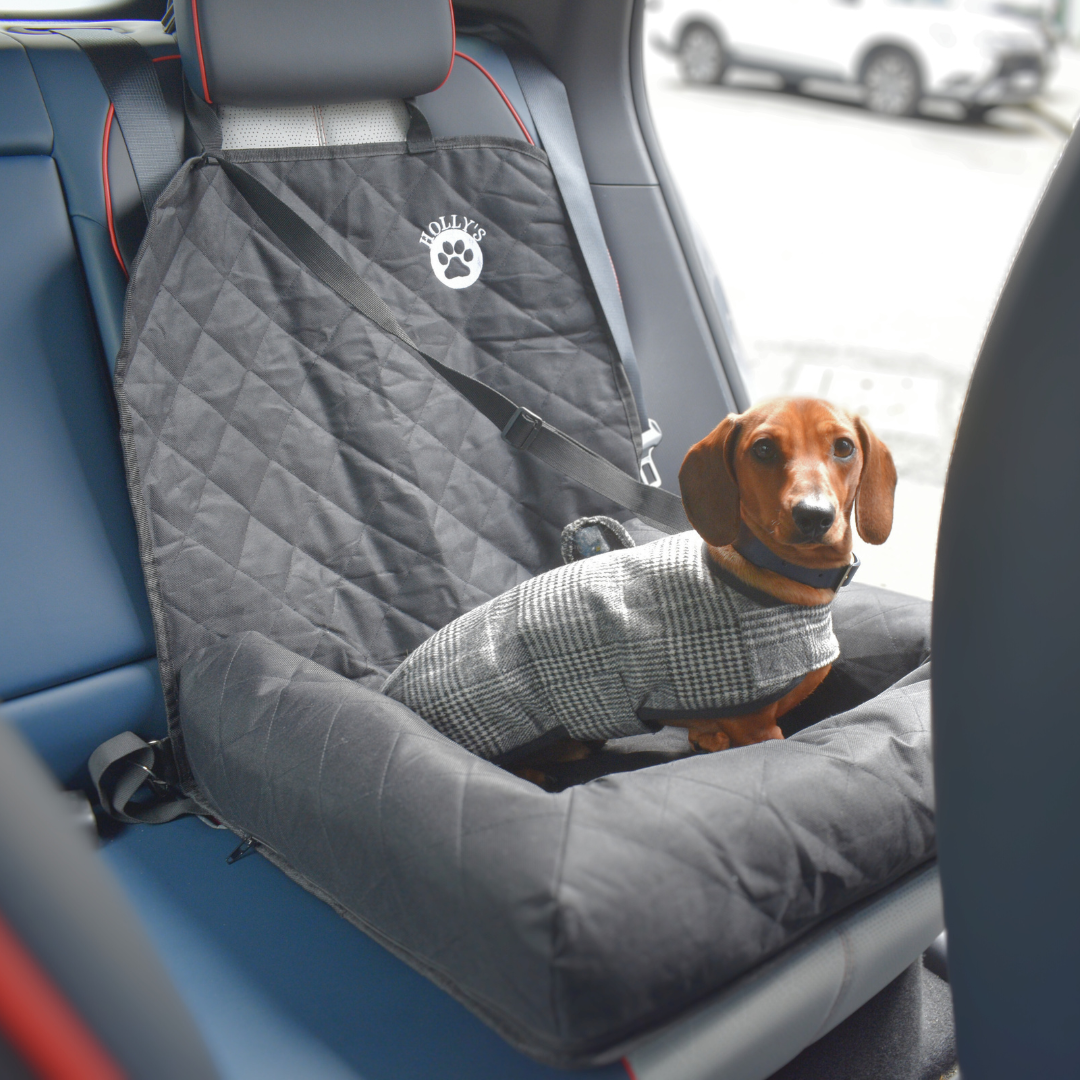 Car Seat Cover