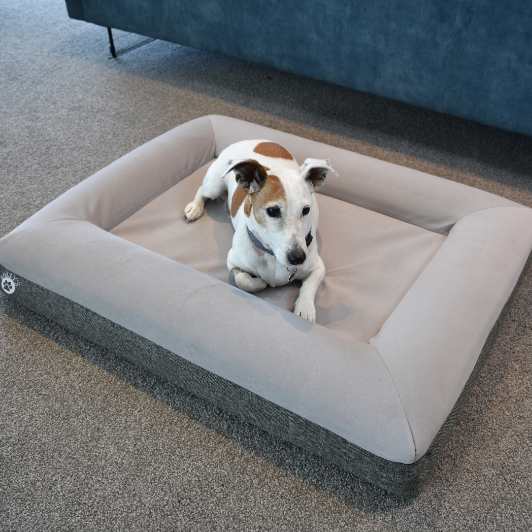 Orthopaedic Memory Foam Bed