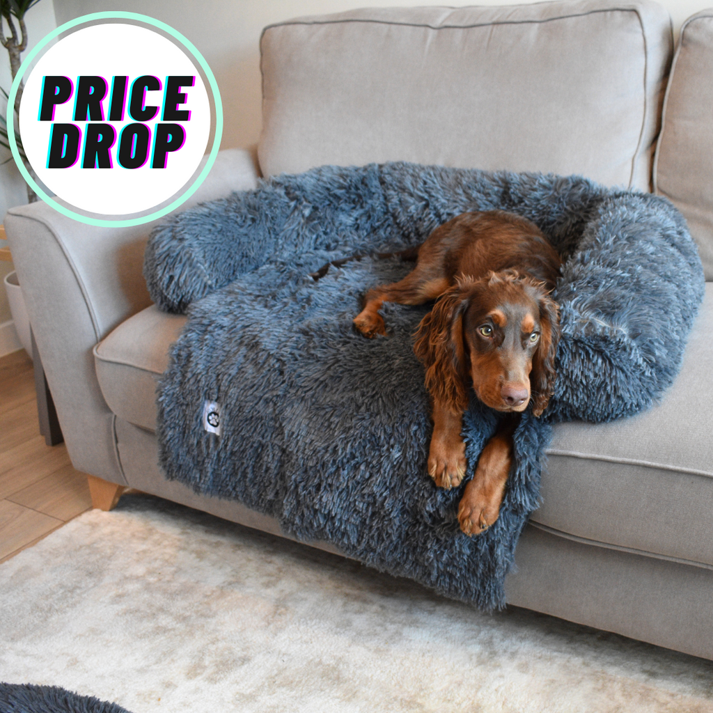 Best dog bed for hot sale staffy