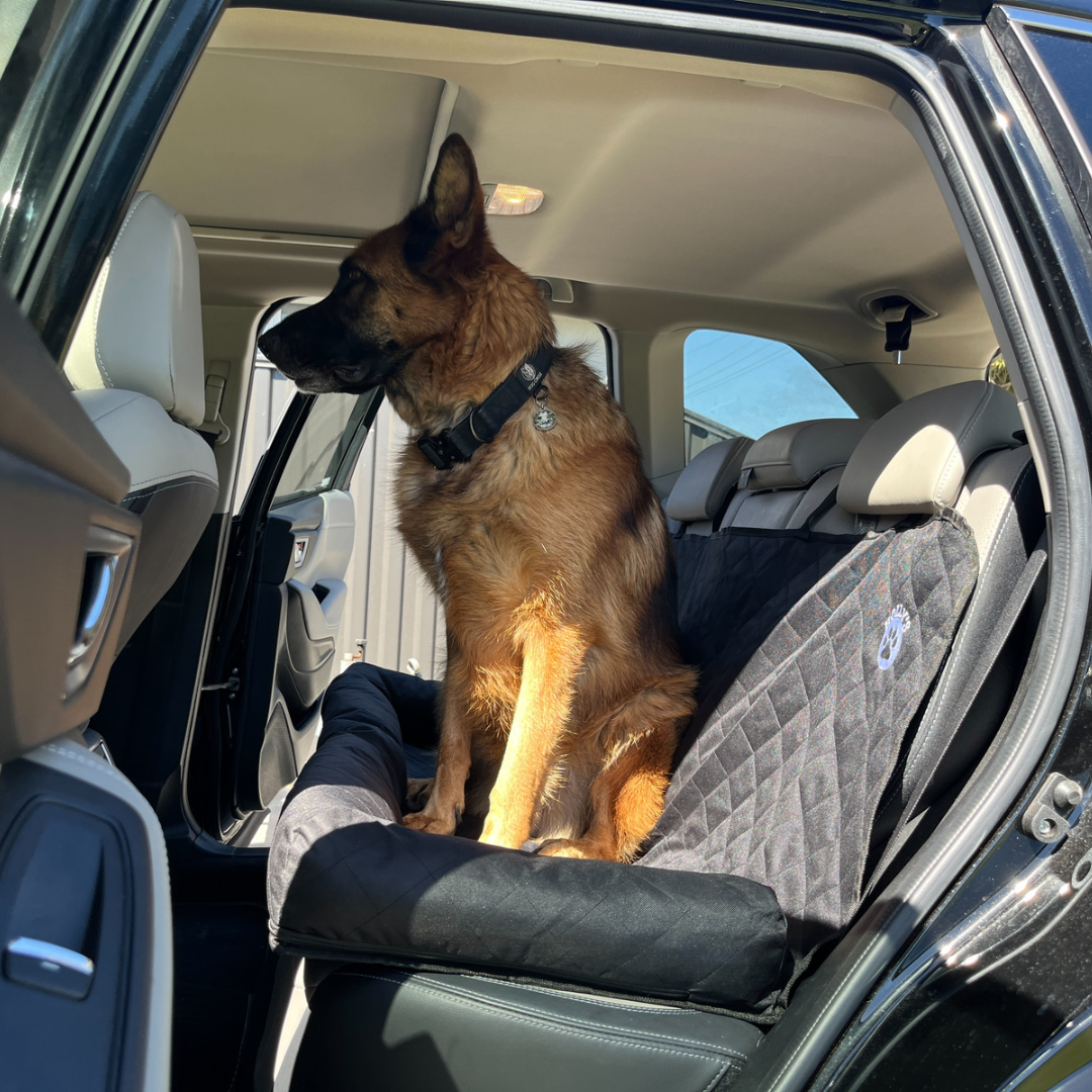 German shepherd seat clearance belt